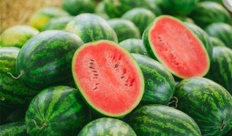 大疆吃瓜视频,揭秘无人机界的趣味瞬间