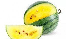 瓜尖怎么吃最好吃视频讲解,视频揭秘最佳食用方法