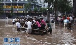 围观洪水的吃瓜群众视频