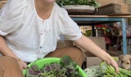 吴佳慧吃瓜视频大全,揭秘娱乐圈幕后故事