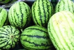 怎么快速看到吃瓜视频,轻松捕捉热门吃瓜视频