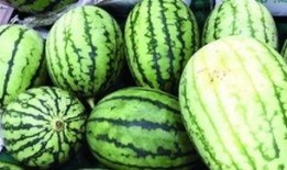 怎么快速看到吃瓜视频,轻松捕捉热门吃瓜视频