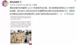 合拍一起吃瓜视频,揭秘娱乐圈幕后故事