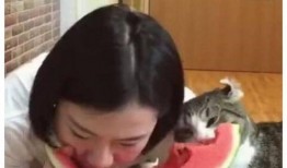 三姐的猫吃瓜视频,笑料百出！