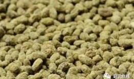 延津吃瓜的视频,揭秘当地特色美食背后的故事