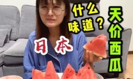 看不懂吃瓜视频的人,揭秘看不懂视频背后的娱乐真相