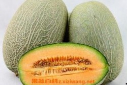 哈密瓜怎么吃嫩苗视频教程,视频教程教你美味家常新吃法