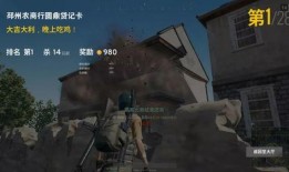 瓜婆娘吃鸡视频下载,趣味横生的游戏时光回顾