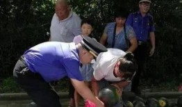 南阳镇平吃瓜事件视频,一场引发热议的网络风波