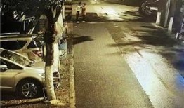 吵架吃瓜路人视频,路人手机记录下的吵架吃瓜现场