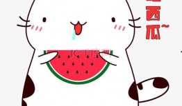 吃瓜的猫素材视频,揭秘猫咪的“八卦”时刻