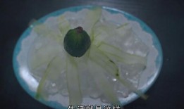 燕子吃芥末瓜视频大全集,酸辣刺激的味蕾冒险记