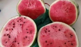 麒麟瓜吃胖不胖呀视频,吃它真的会发胖吗？