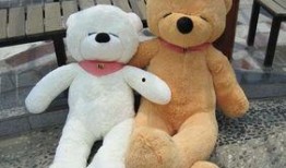 网红熊公仔吃瓜视频,萌态可掬引发网友热议