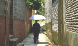 金山花园吃瓜事件视频,一场引发热议的邻里冲突视频揭秘