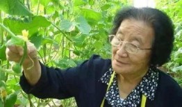 搞笑吃瓜认错人视频大全,笑料百出！搞笑吃瓜认错人视频大盘点