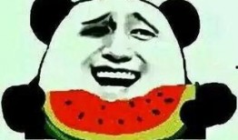 北美吃瓜群众笑哭视频,北美网友笑翻天的“吃瓜群众”搞笑视频大盘点