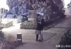 老街吃瓜最新视频大全下载,最新视频大全精彩瞬间回顾