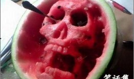 吃瓜乐趣多视频,短视频带你领略人间百态