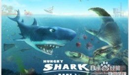 鲨鱼视频吃瓜游戏下载,下载体验，畅享娱乐新潮流