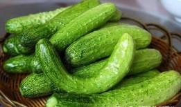 吃瓜中毒怎么缓解视频