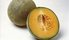 吃瓜的视频教程,跟随视频教程解锁夏日消暑新技能