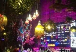 故里音乐酒吧吃瓜视频播放,吃瓜视频背后的音乐狂欢现场