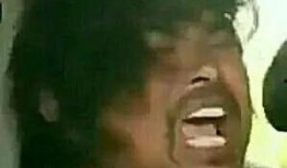 沙雕家族吃瓜视频,揭秘娱乐圈幕后风云