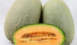 穷人吃哈密瓜的视频,穷人的美食故事