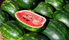 吃花吃瓜视频素材,探寻自然美食的奇妙之旅