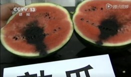 带你吃瓜抓鱼视频,吃瓜抓鱼视频大揭秘