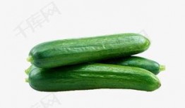 清凉吃瓜视频完整版下载,清凉吃瓜视频完整版下载攻略