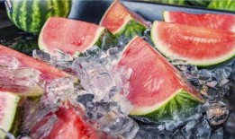 摸鱼吃饼吃瓜视频大全集,趣味视频大全集精彩回顾