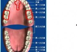 吃瓜磨破上颚正常吗视频,揭秘日常饮食中的意外伤害