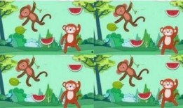 故事长篇吃瓜视频大全