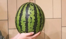 吃瓜只吃瓜尖的视频素材,揭秘吃瓜只吃尖的秘密