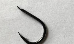 吃瓜怎么下钩子视频教程,吃瓜视频教程下的钓鱼技巧解析