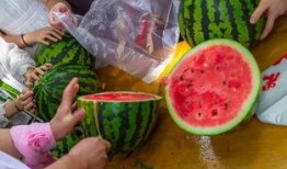 湖北吃瓜视频,揭秘当地美食文化盛宴