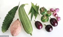 怀念夏天吃瓜视频下载,重温那段甜蜜的回忆