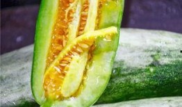 网红罗阿薇吃瓜视频