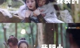 吃瓜王炸姐弟视频全集,揭秘视频全集背后的惊人真相