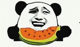 吃瓜群众大包瓜子视频,揭秘吃瓜群众大包瓜子视频背后的趣味人生