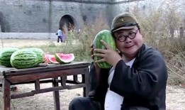 搞笑吃瓜瞬间视频大全高清,高清视频大盘点