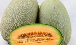 老板给我吃哈密瓜视频,甜蜜瞬间，温馨回忆