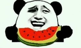 吃瓜吐糟类视频素材,笑料百出，槽点满满！