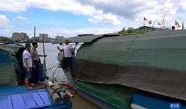 沿海吃瓜渔船事件视频播放,揭秘背后真相与争议