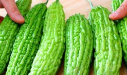 吃酸瓜的视频大全,酸瓜视频大全带你领略美味瞬间