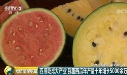 中国大陆吃瓜群众视频,中国大陆短视频现象背后的文化解读