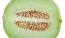 新疆吃瓜视频,揭秘新疆特色美食的魅力