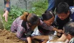 河南封丘吃瓜事件视频曝光,视频曝光揭示惊人真相